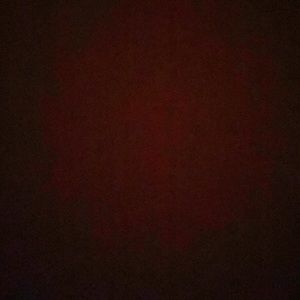 Meet your Posher, Irma